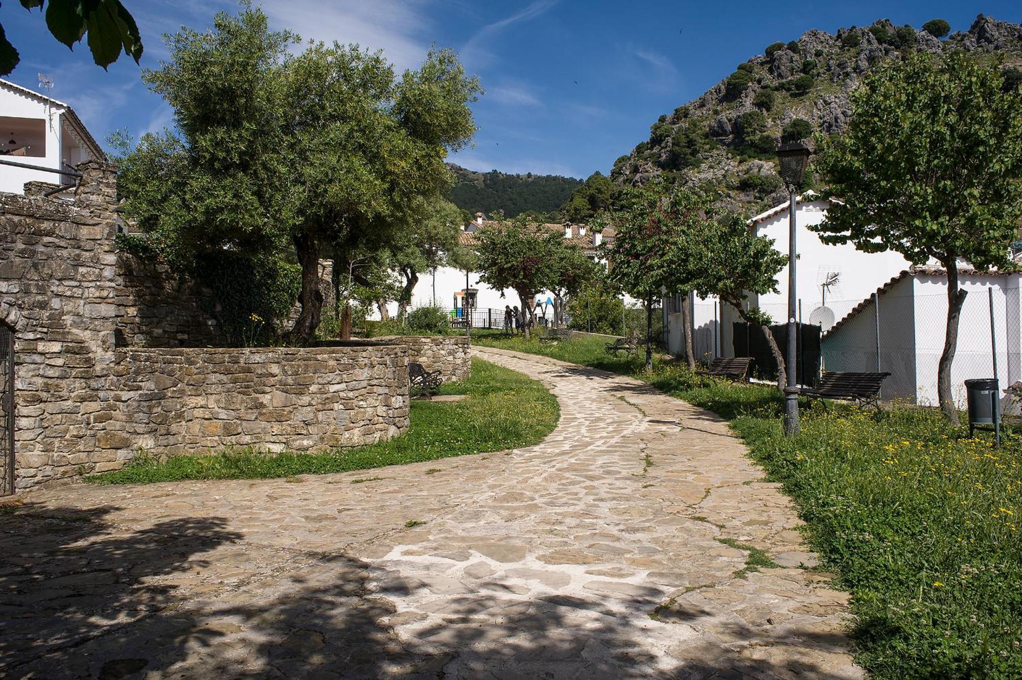 Casa Rural La Callejita Grazalema Luaran gambar